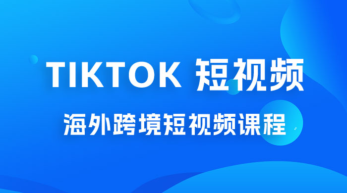 2023 TikTok 短视频底层实战：海外跨境短视频课程，实战即真理 - 网创智汇