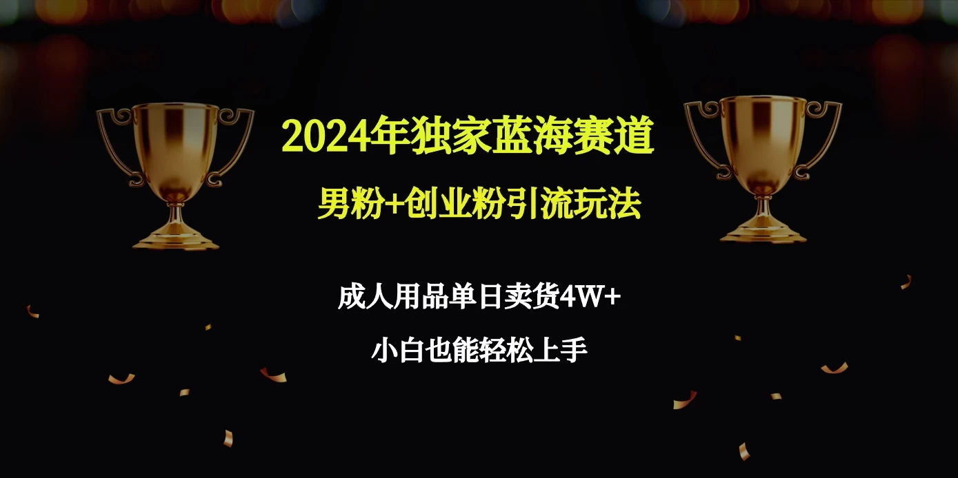 2024独家蓝海赛道，男粉＋创业粉引流玩法。 - 网创智汇