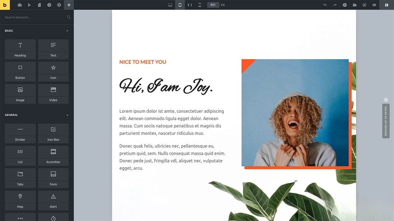 WordPress主题Bricks v1.9 破解版 - 网创智汇