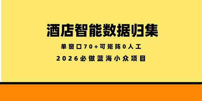 （18500期）酒店智能数据归集，小众蓝海已经稳定半年之久，单窗口70+零成本矩阵开干 - 网创智汇