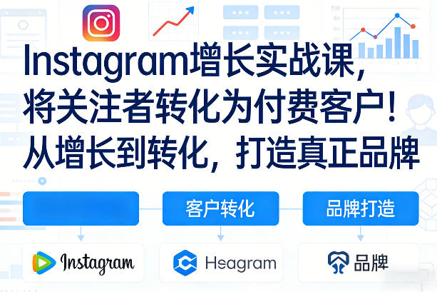 Instagram增长实战课，将关注者转化为付费客户！从增长到转化，打造真正品牌(双语字幕) - 网创智汇
