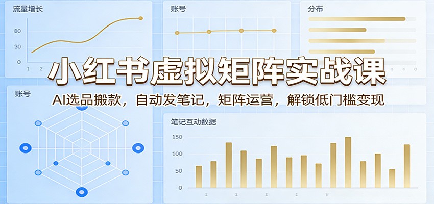 小红书虚拟矩阵实战课：AI选品搬款，自动发笔记，矩阵运营，解锁低门槛变现 - 网创智汇