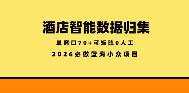 酒店智能数据归集，小众蓝海已经稳定半年之久，单窗口70+零成本矩阵开干【揭秘】 - 网创智汇