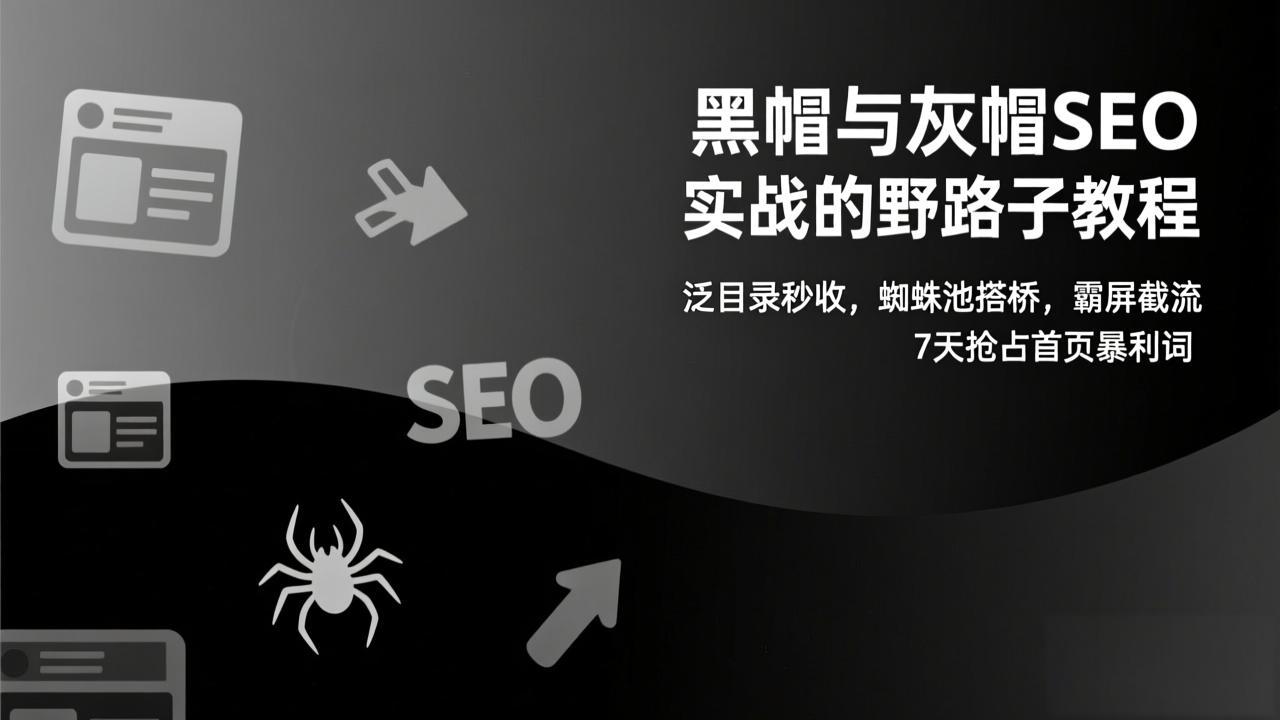 黑帽与灰帽SEO实战的野路子教程：泛目录秒收，蜘蛛池搭桥，霸屏截流，7天抢占首页暴利词 - 网创智汇