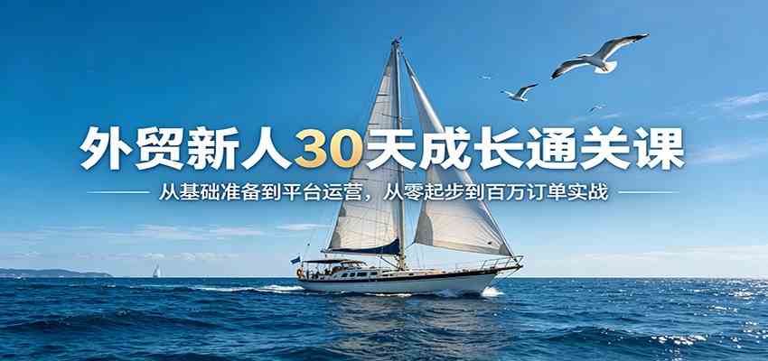 外贸新人30天成长通关课：从基础准备到平台运营，从零起步到百万订单实战 - 网创智汇
