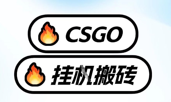 真全网独家CSGO挂G，最新玩法,单日捡漏1K+，不用电脑，不用打游戏【揭秘】 - 网创智汇