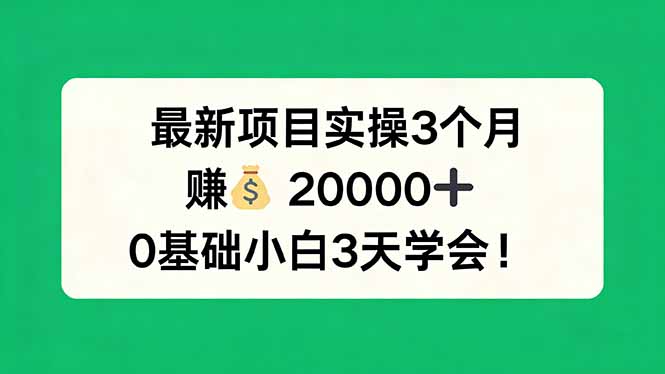 最新项目实操3个月，赚钱20000+，0基础小白3天学会！ - 网创智汇